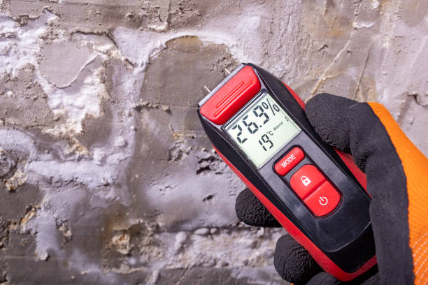 Best Health and Safety Mold Remediation in Covgton, IN