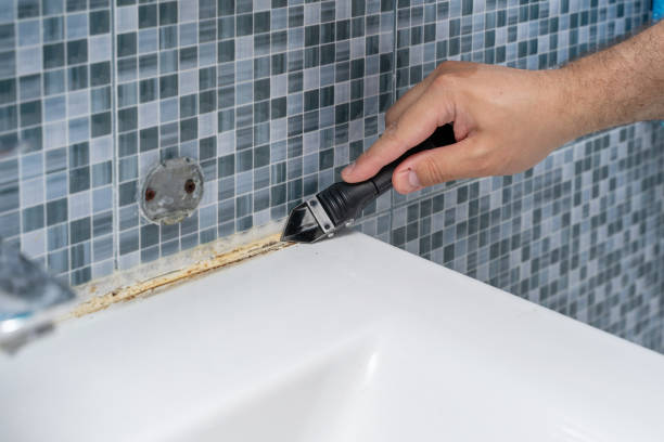 Best Kitchen Mold Remediation in Covgton, IN
