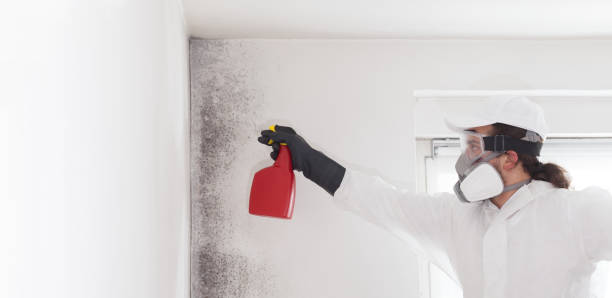 Best Crawl Space Mold Remediation in Covgton, IN