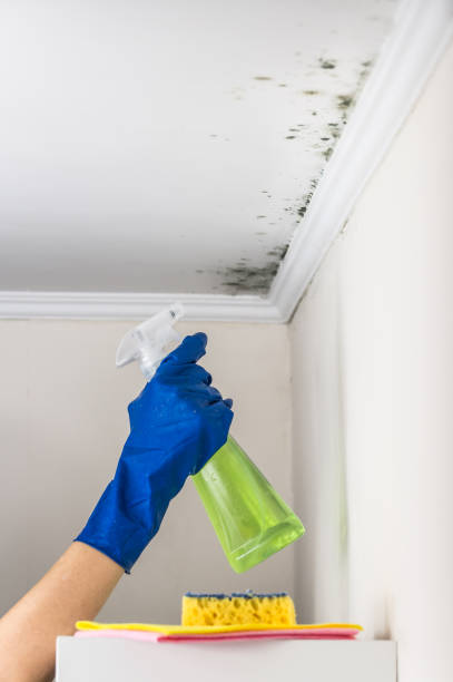 Best Mold Remediation for Schools in Covgton, IN